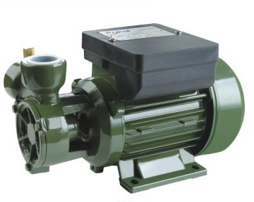 Vortex Pump (DB125)