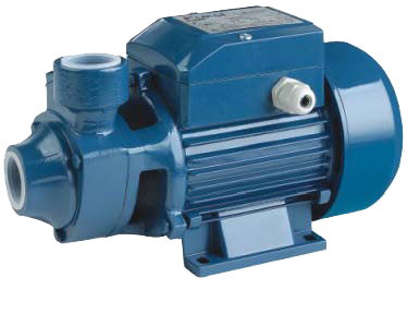 Vortex Pump (PKM60)